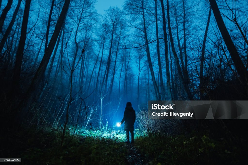 Silhouette of person in forest at twilight with fog